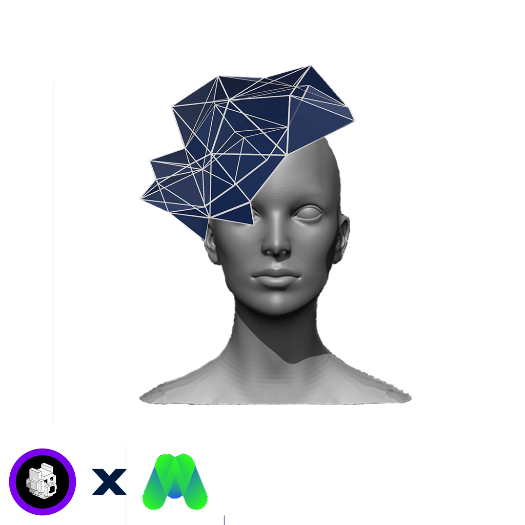 Big Hat For Sale